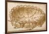 Design for an Oval Fruit Bowl, with Vine Tendrils, Leaves and Grapes-Giulio Romano-Framed Giclee Print