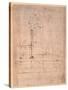 Design for the Tomb of Pope Julius Ii (1453-1513) (Brown Ink on Paper) (Verso)-Michelangelo Buonarroti-Stretched Canvas