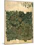 Design For Vine Wallpaper, c.1872-William Morris-Mounted Giclee Print