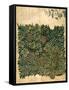 Design For Vine Wallpaper, c.1872-William Morris-Framed Stretched Canvas