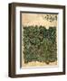 Design For Vine Wallpaper, c.1872-William Morris-Framed Giclee Print