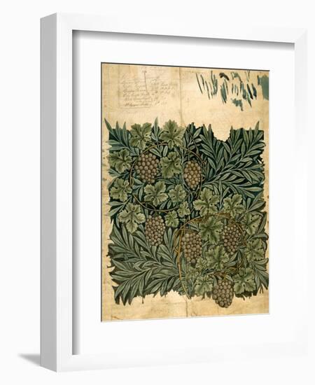 Design For Vine Wallpaper, c.1872-William Morris-Framed Giclee Print