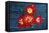 Design J-Ata Alishahi-Framed Stretched Canvas