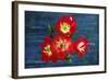 Design J-Ata Alishahi-Framed Giclee Print