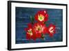 Design J-Ata Alishahi-Framed Giclee Print