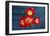 Design J-Ata Alishahi-Framed Giclee Print