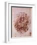 Design of Alfonso of Aragon's Medal-Antonio Pisanello-Framed Premium Giclee Print