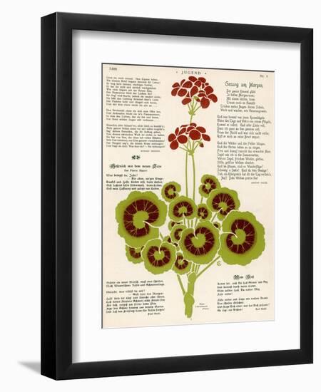 Design of Geraniums (Pelargoniums)-null-Framed Premium Photographic Print