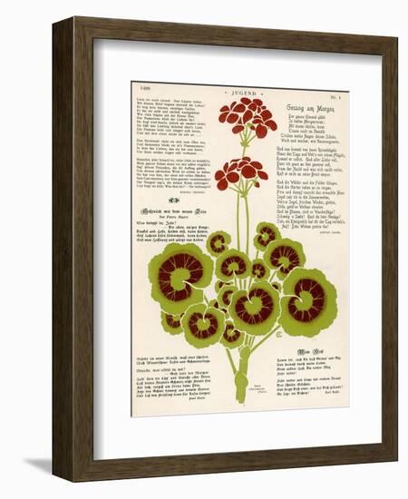 Design of Geraniums (Pelargoniums)-null-Framed Photographic Print