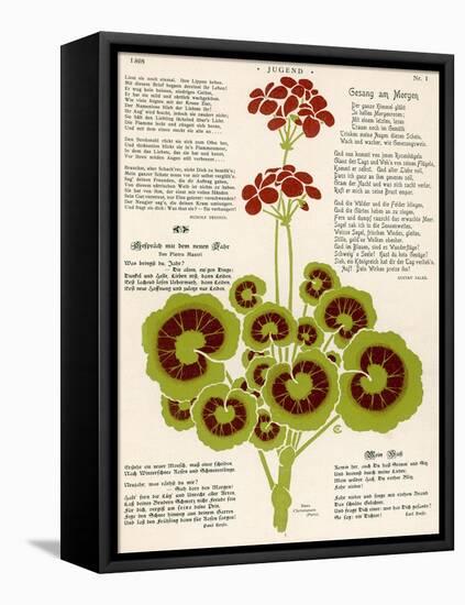 Design of Geraniums (Pelargoniums)-null-Framed Stretched Canvas