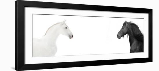 Design Of Website Header With Black And White Horses-i_love_nature-Framed Art Print