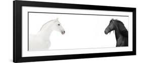 Design Of Website Header With Black And White Horses-i_love_nature-Framed Art Print