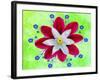 Design P-Ata Alishahi-Framed Giclee Print