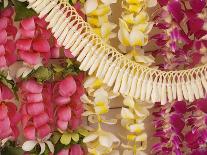 Assorted Hawaiian Leis, Hanging In Bright, Colorful Strands, Studio Shot-Design Pics-Photographic Print