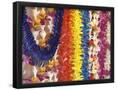 Essential Black