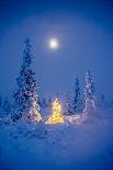 Snowman Wearing A Scarf And Black Top Hat Standing In A Snow-Covered Birch Forest, Alaska-Design Pics-Photographic Print