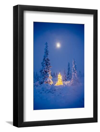 Photographic Print, , large