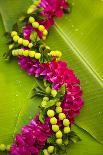 Hawaii, Oahu, Orchid Lei On Banana Leaves.-Design Pics-Photographic Print