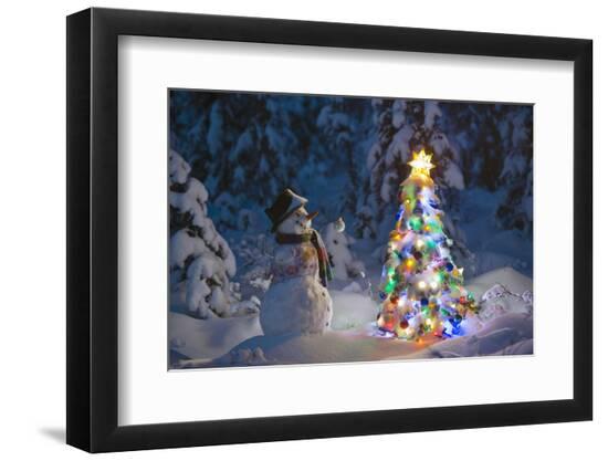 Photographic Print, , large