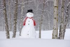 Snowman Standing In A Snow-Covered Spruce Forest Next To A Decorated Christmas Tree In Wintertime-Design Pics-Photographic Print