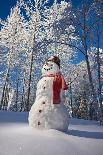 Snowman Standing In A Snow-Covered Spruce Forest Next To A Decorated Christmas Tree In Wintertime-Design Pics-Photographic Print