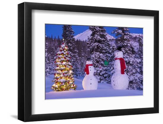 Photographic Print, , large