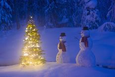 Backpacking Tent Lit Up At Twilight With Christmas Tree Next To It Alaska Range-Design Pics-Photographic Print