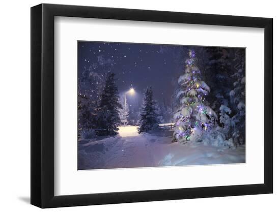 Photographic Print, , large