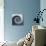 Design Spiral Staircase Made Of Concrete-FreshPaint-Stretched Canvas displayed on a wall