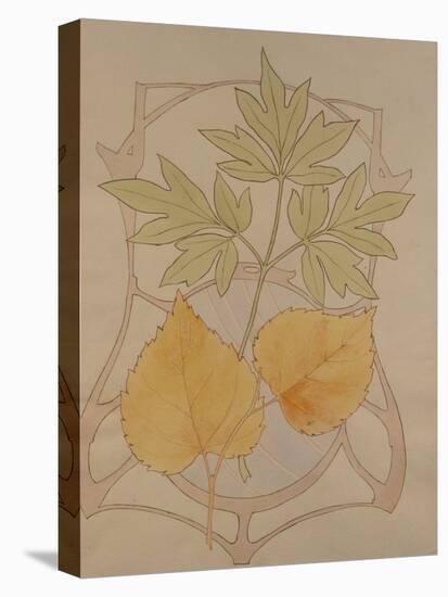 Design with Fig and Vine Leaves and a Sinuous Art Nouveau Motif in the Background.-Koloman Moser-Stretched Canvas