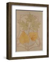 Design with Fig and Vine Leaves and a Sinuous Art Nouveau Motif in the Background.-Koloman Moser-Framed Giclee Print