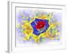 Design Z-Ata Alishahi-Framed Giclee Print