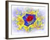 Design Z-Ata Alishahi-Framed Giclee Print