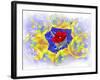 Design Z-Ata Alishahi-Framed Giclee Print