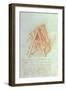 Design-Leonardo da Vinci-Framed Giclee Print