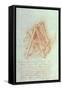 Design-Leonardo da Vinci-Framed Stretched Canvas