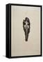 Design-Dagobert Peche-Framed Stretched Canvas