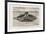 Designed by Claude Goubet in 1885: The First Electrically Powered Submarine-Poyet-Framed Art Print