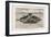 Designed by Claude Goubet in 1885: The First Electrically Powered Submarine-Poyet-Framed Art Print