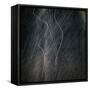 Designed Medium Format Film Background-Taigi-Framed Stretched Canvas