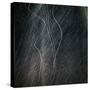 Designed Medium Format Film Background-Taigi-Stretched Canvas