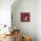 Designer Candy-Taylor Greene-Mounted Art Print displayed on a wall