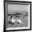 Designer Charles Eames Sitting on a Beach Near His Home-Peter Stackpole-Framed Premium Photographic Print