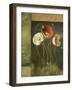 Designer Poppies-Lisa Audit-Framed Giclee Print