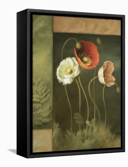 Designer Poppies-Lisa Audit-Framed Stretched Canvas