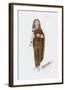 Designs for Cleopatra XLI-Oliver Messel-Framed Premium Giclee Print