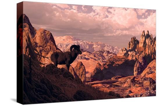 Stretched Canvas Print, , large