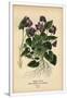 Gramercy White