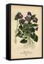 Canvas Black