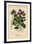 Gramercy Black